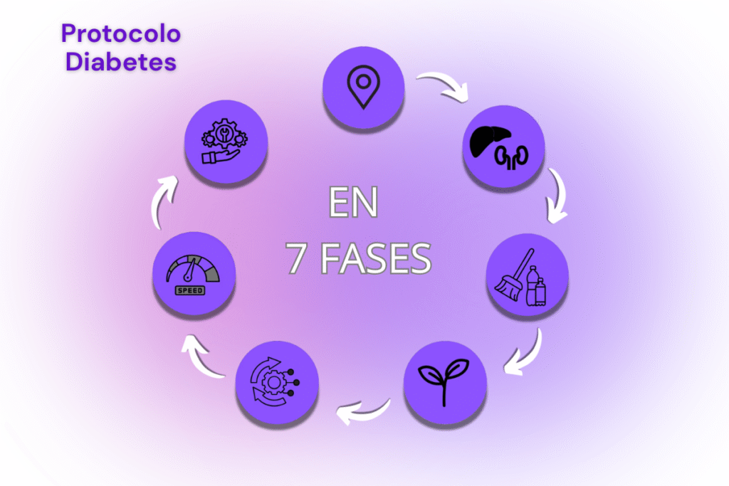 Esquema visual de las 7 fases del Protocolo Diabetes – método natural para desintoxicar, equilibrar la flora intestinal y normalizar la glucosa sin fármacos.